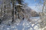 2017-01-07-vyslap-008