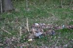 2017-04-10-uklidmecesko
