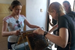 Projekt Včely