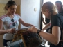 Projekt Včely