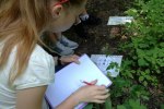 2017-05-30-bystrice-12