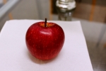 Naše první jablko
