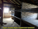 2018-04-27-osvetim-07