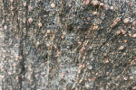 2019-06-17-expedicea-05