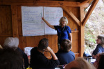 2024-08-20-borovice-05